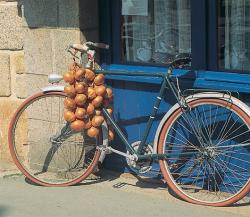 velo